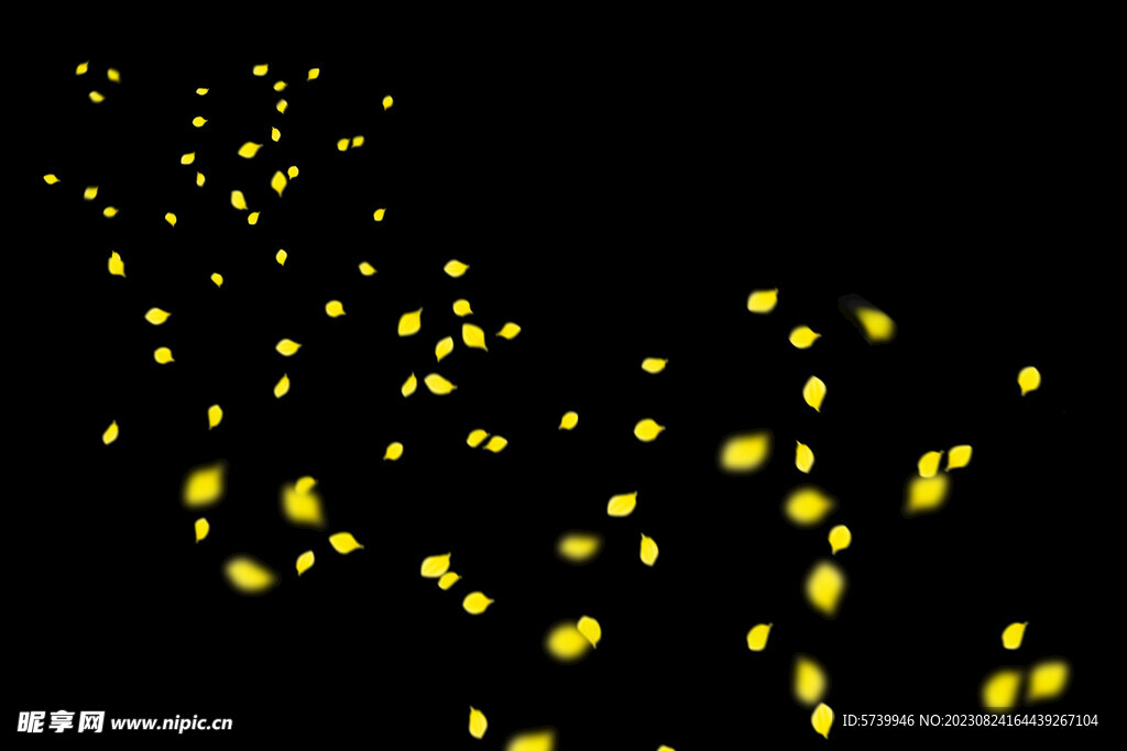 飘落花瓣鲜花漂浮元素图片 