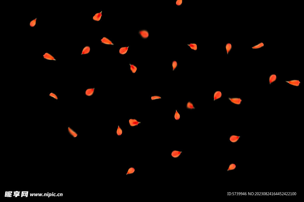 飘落花瓣鲜花漂浮元素图片 