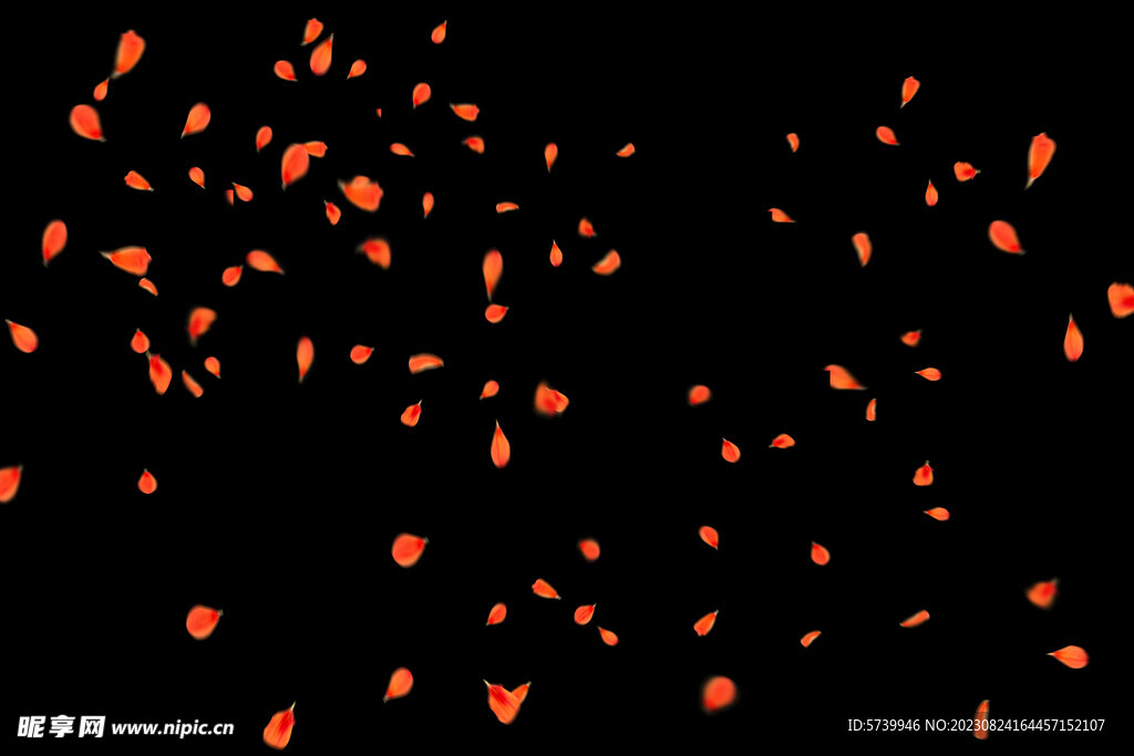 飘落花瓣鲜花漂浮元素图片 