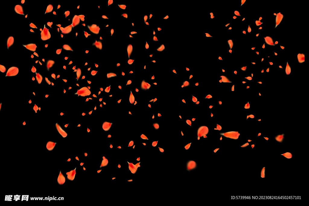 飘落花瓣鲜花漂浮元素元素图片 