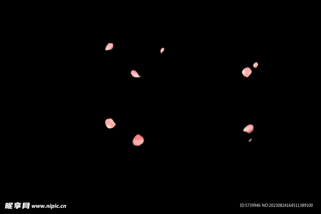 飘落花瓣鲜花漂浮元素元素图片 
