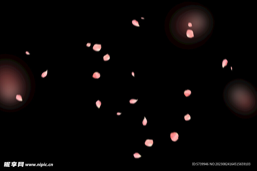 飘落花瓣鲜花漂浮元素元素图片 