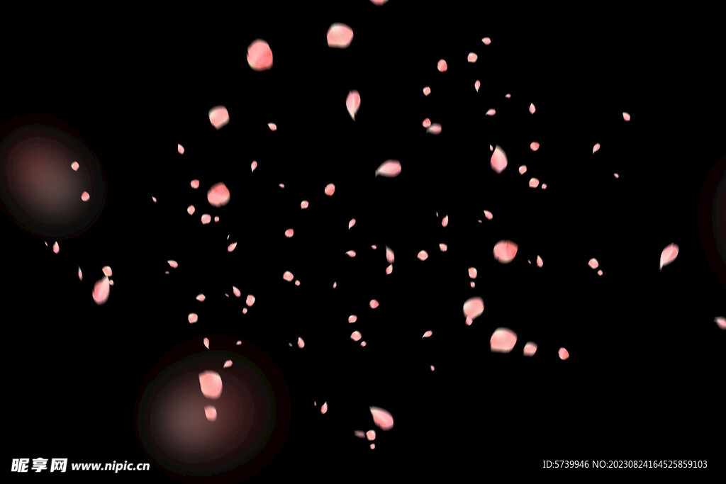 飘落花瓣鲜花漂浮元素元素图片 