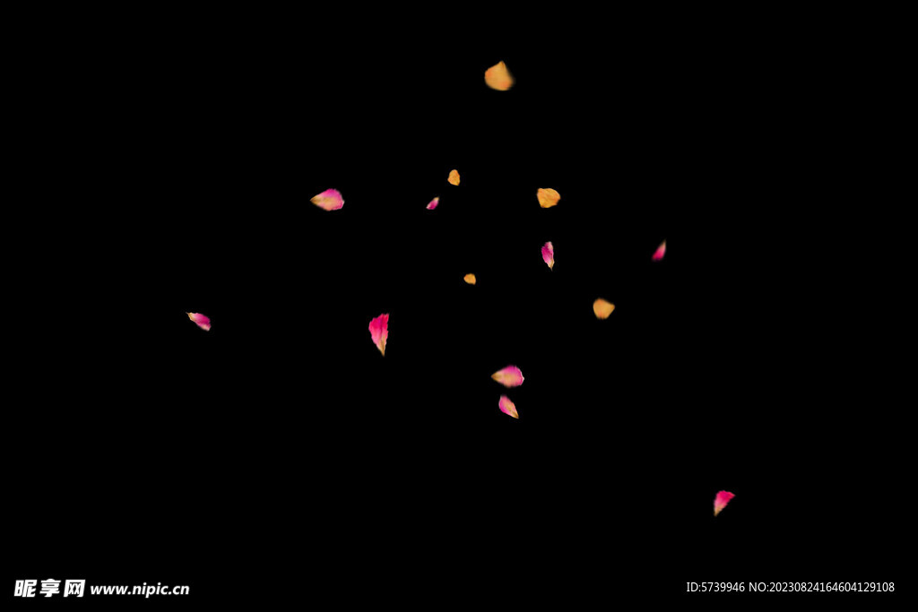 飘落花瓣鲜花漂浮元素图片 