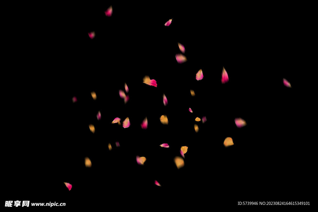 飘落花瓣鲜花漂浮元素元素图片 