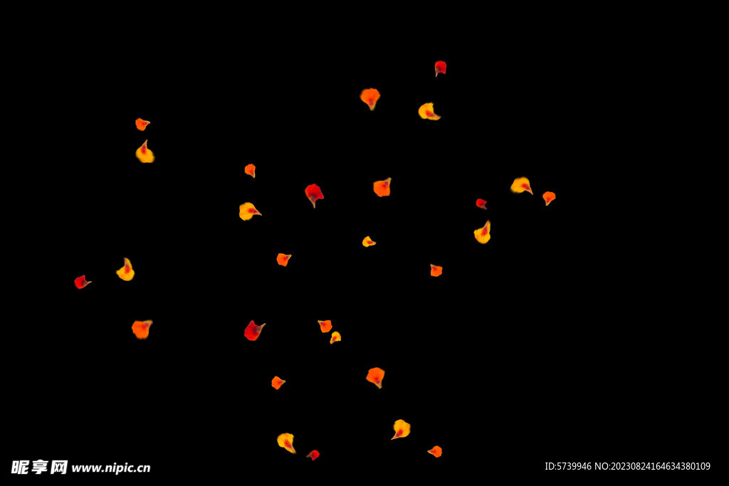飘落花瓣鲜花漂浮元素元素图片 