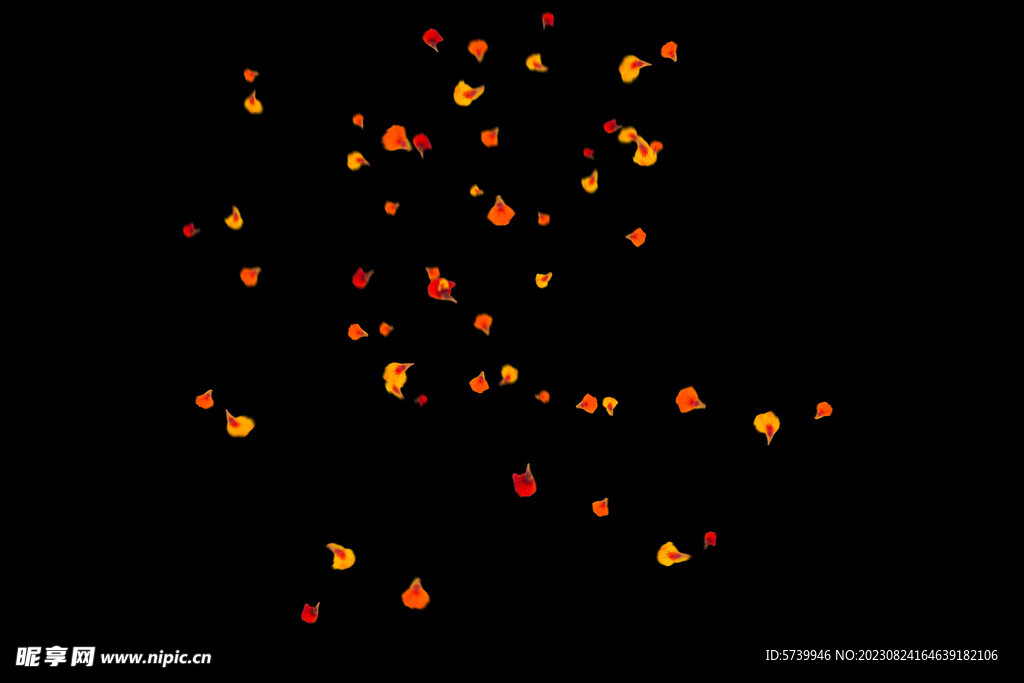 飘落花瓣鲜花漂浮元素元素图片 