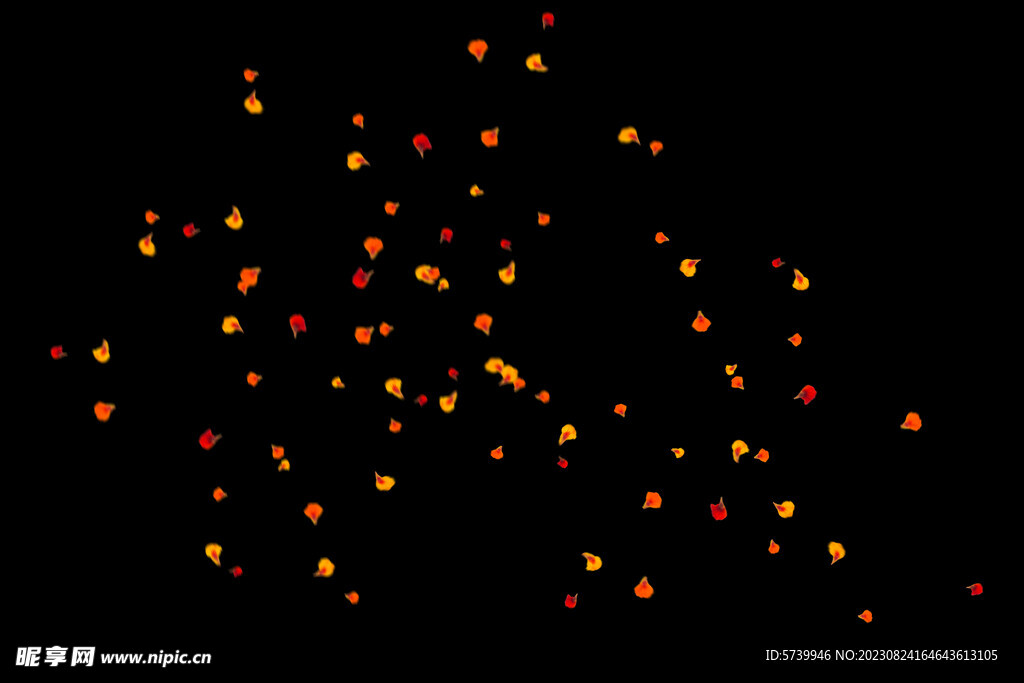 飘落花瓣鲜花漂浮元素元素图片 