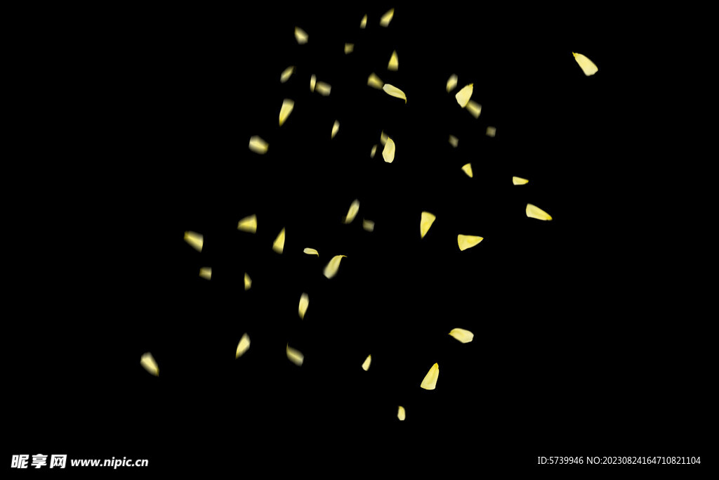 飘落花瓣鲜花漂浮元素元素图片