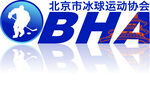 北京市冰球运动协会