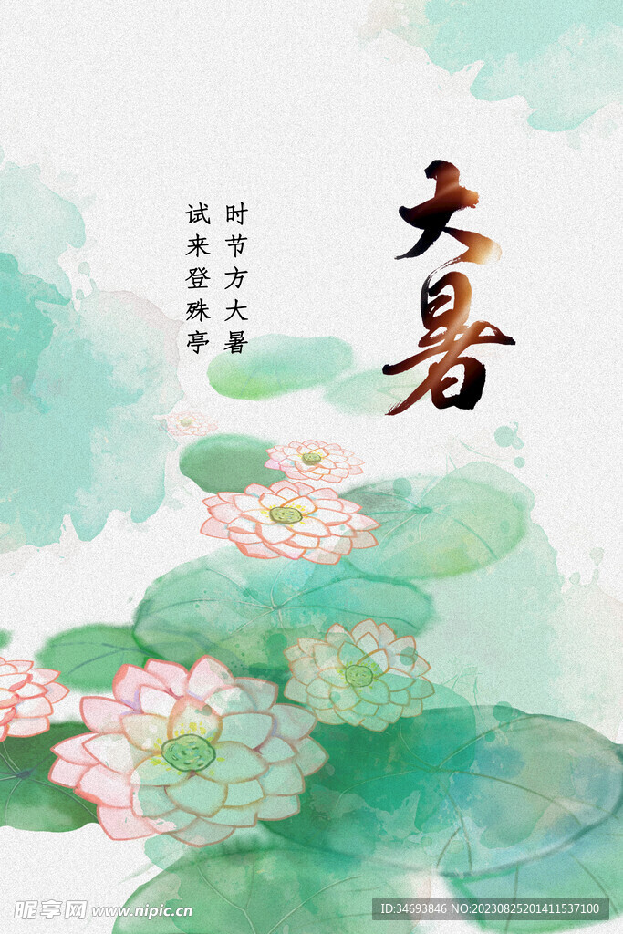 24节气荷花大暑质感