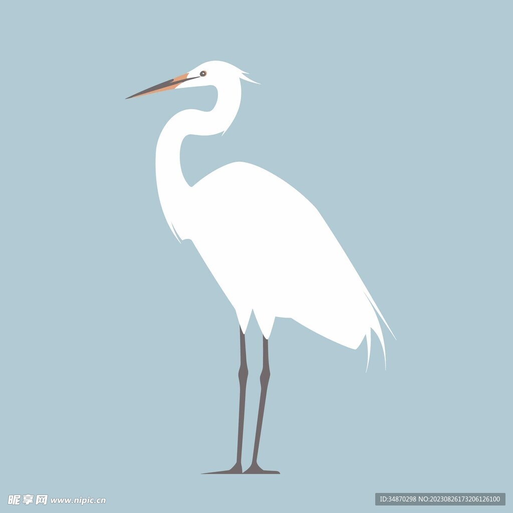 野生白鹭矢量插画
