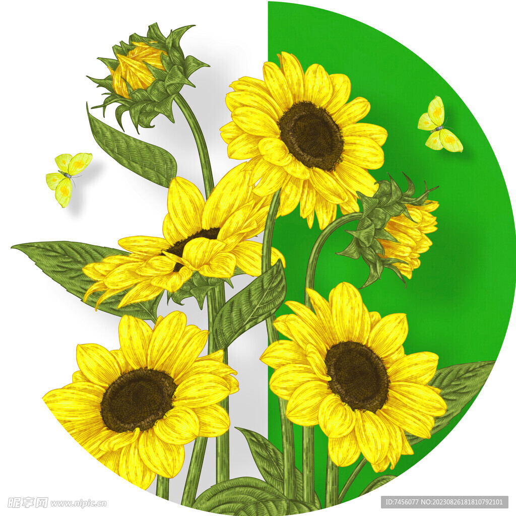 蝶恋花菊花向日葵圆形挂画装饰画