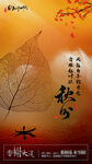 秋分海报