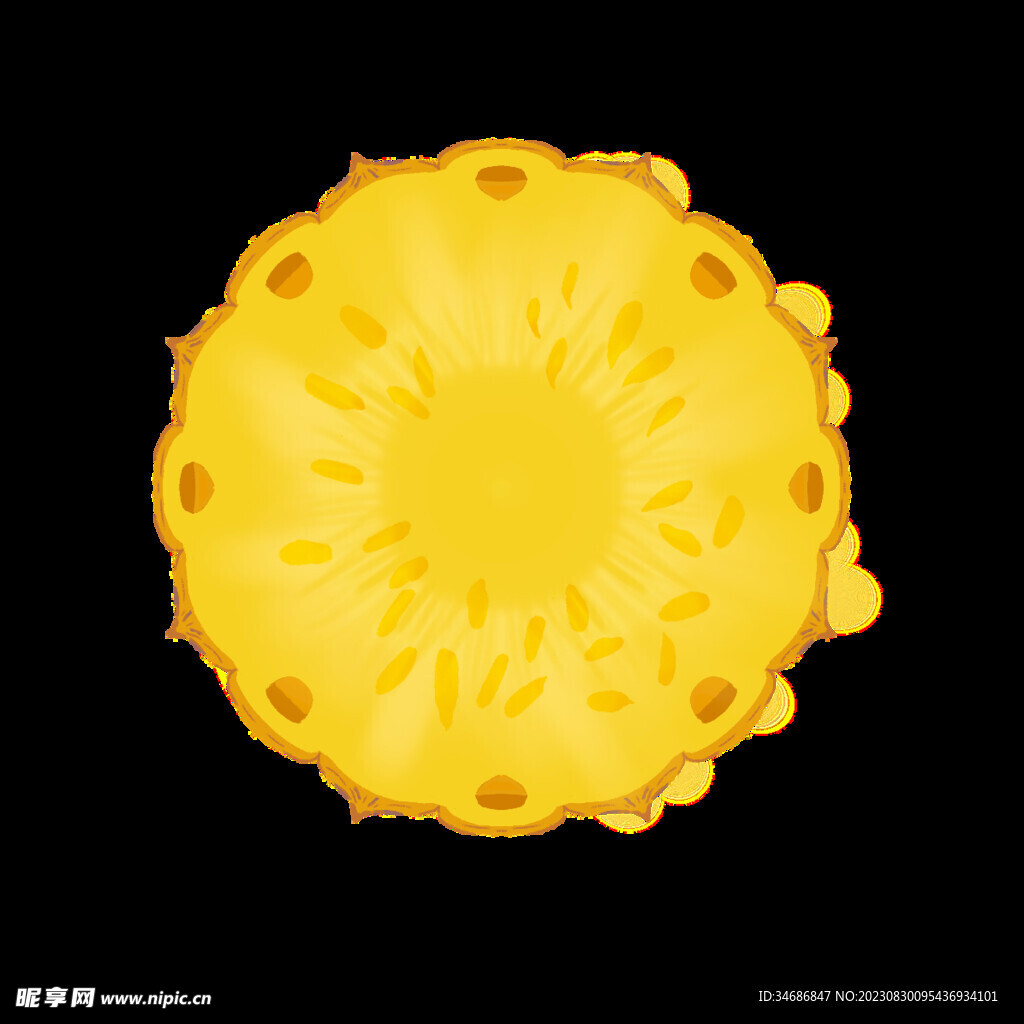 菠萝横切面免扣素材