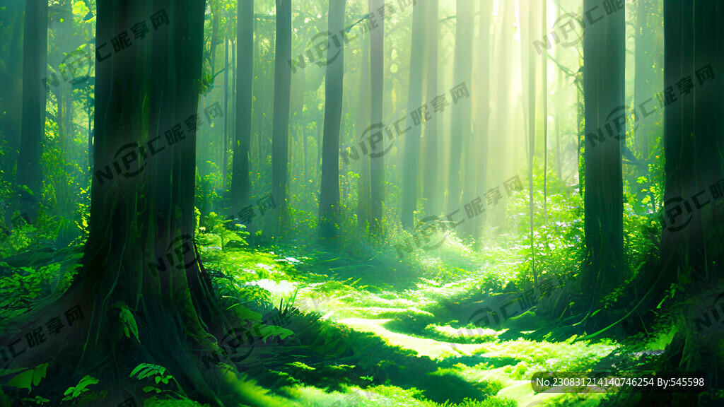 茂密的绿色森林 有阳光照射