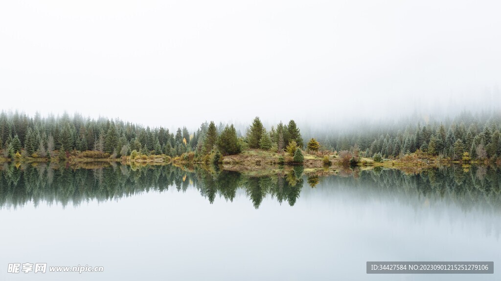 树林湖景倒影