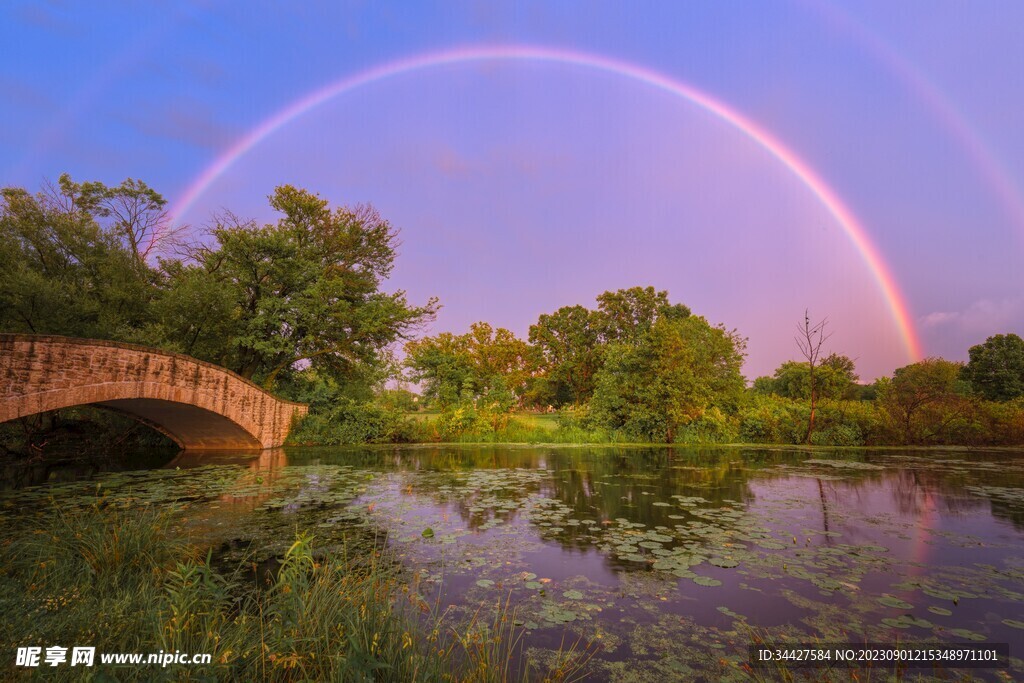 荷塘彩虹