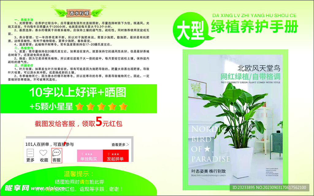 绿植养护卡