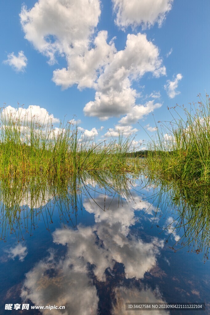 蓝天白云与水草