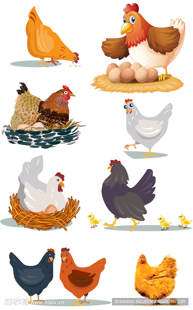 母鸡土鸡插画元素大全