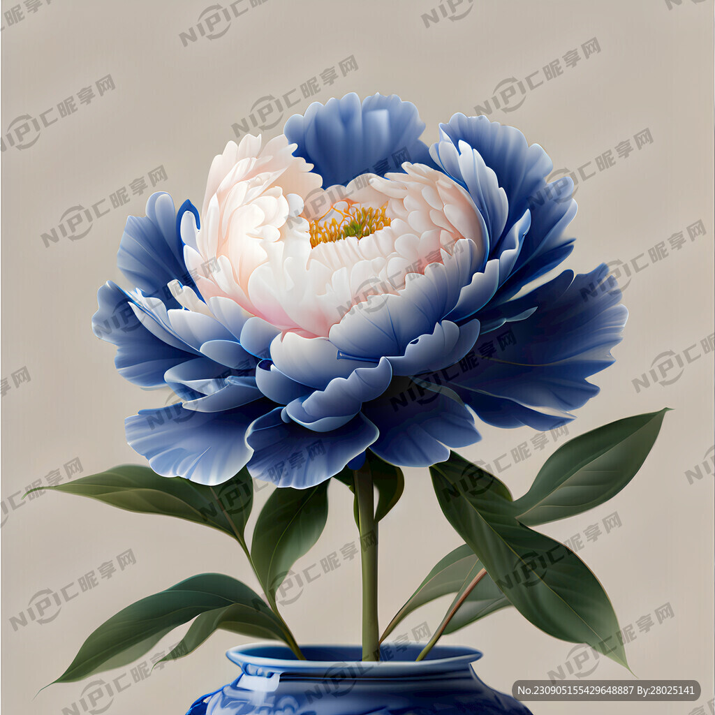 超高清 牡丹花 写真 三朵