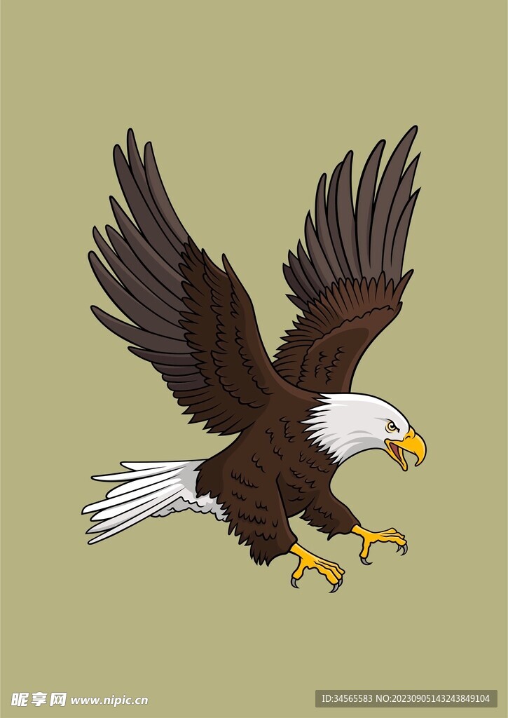 大鹰 飞翔 捕捉猎物