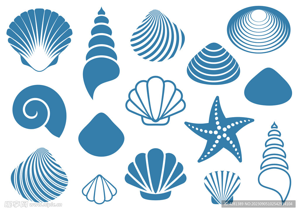 海星贝壳矢量