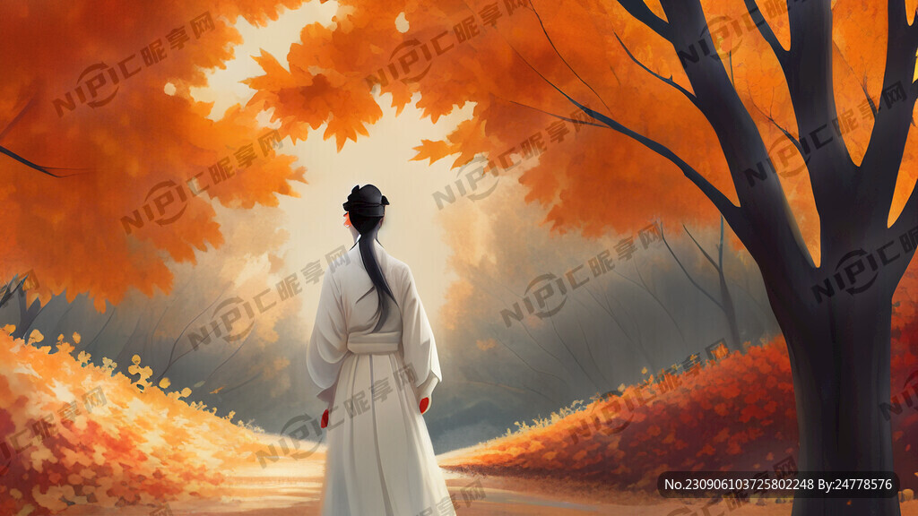 白衣女背影 秋天 枫树 落叶