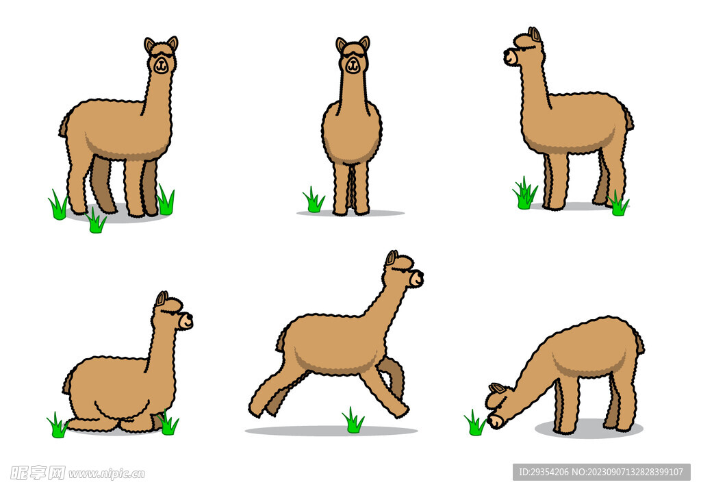 骆驼 羊驼矢量图片