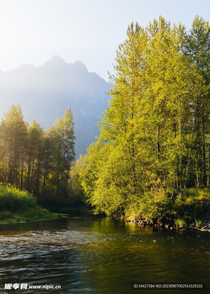 山林河景