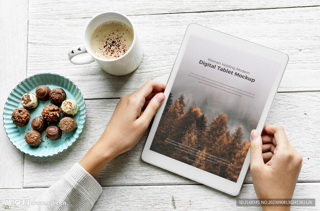 手持平板电脑样机