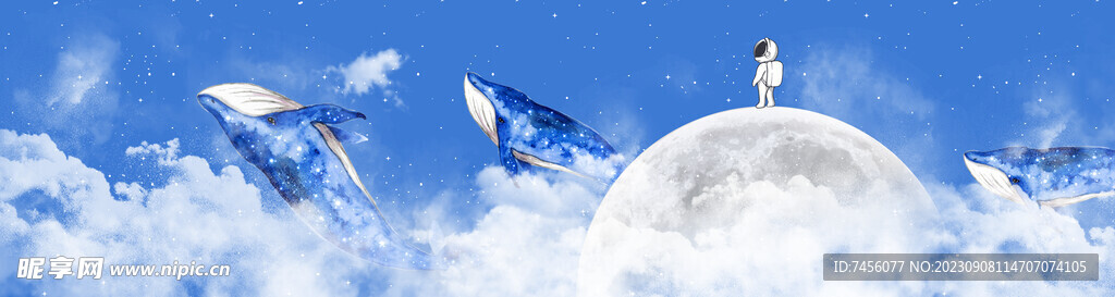 卡通星空海豚床头挂画装饰画