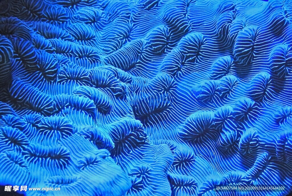 蓝色不规则凹凸条纹肌理素材