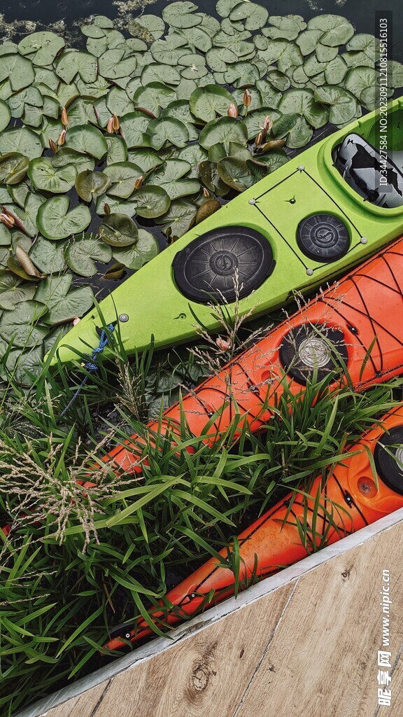 荷塘里的皮划艇