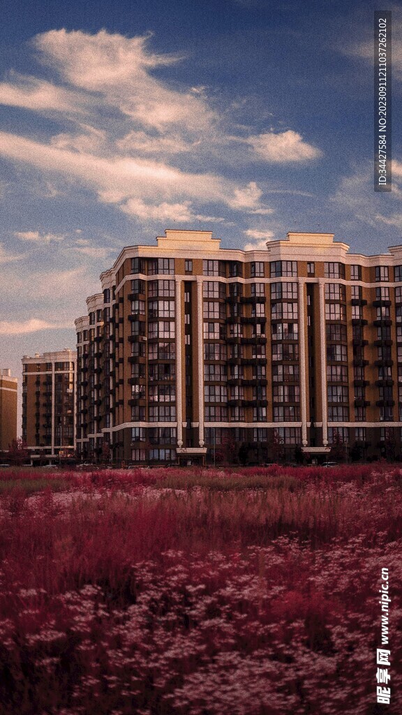 大厦建筑和花草