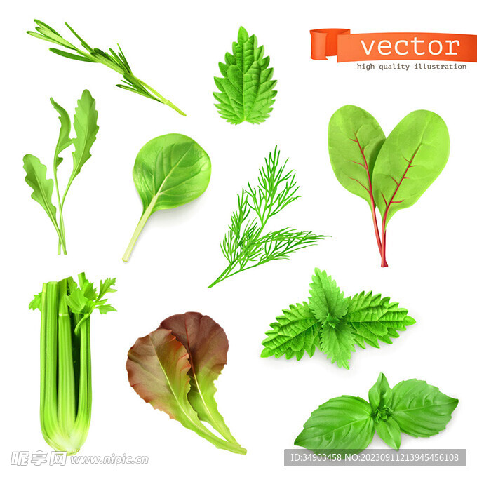 蔬菜叶子