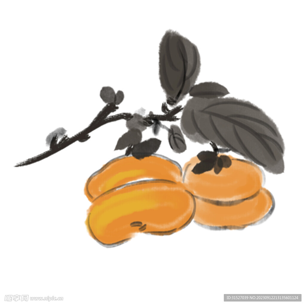 柿子插画