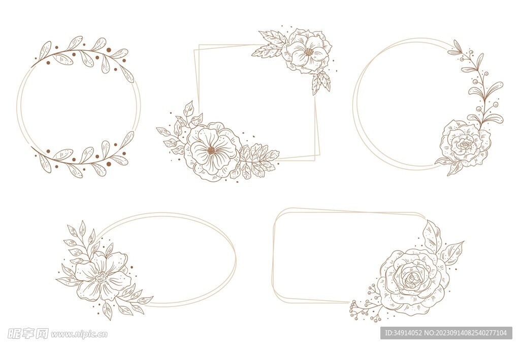 矢量手绘花卉植物边框