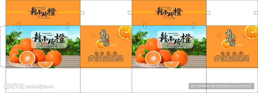 脐橙  橙子 纸箱 