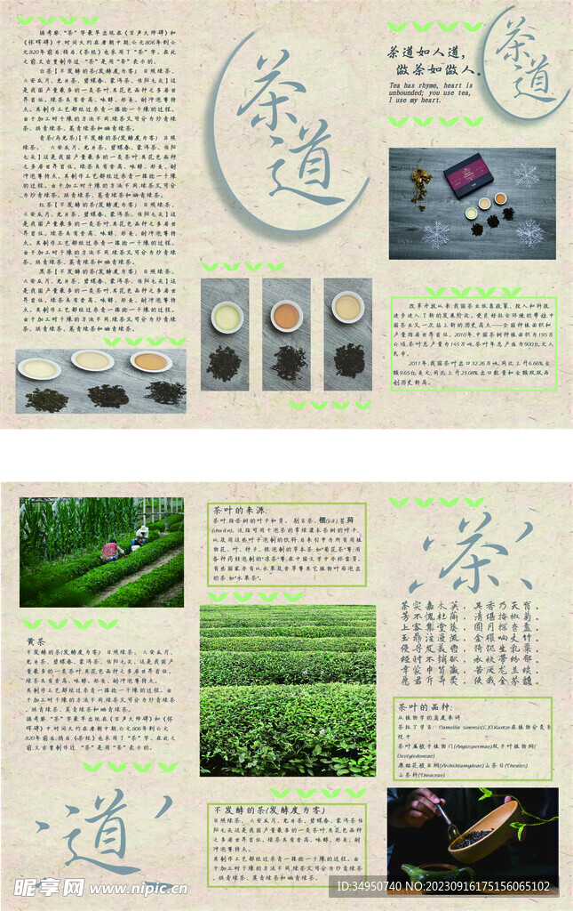 茶三折页