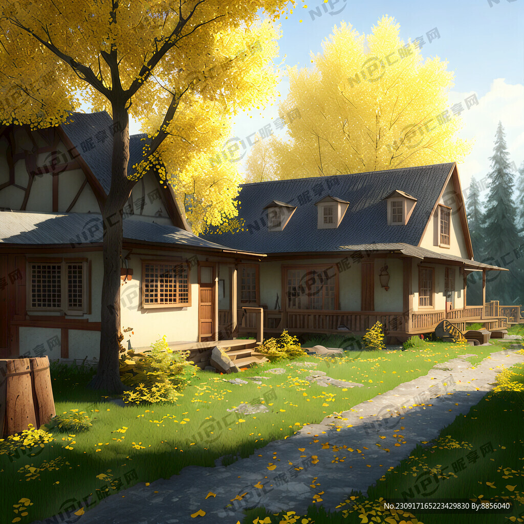 农家小院。银杏林