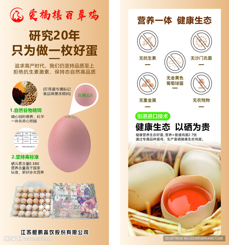 鸡蛋单页