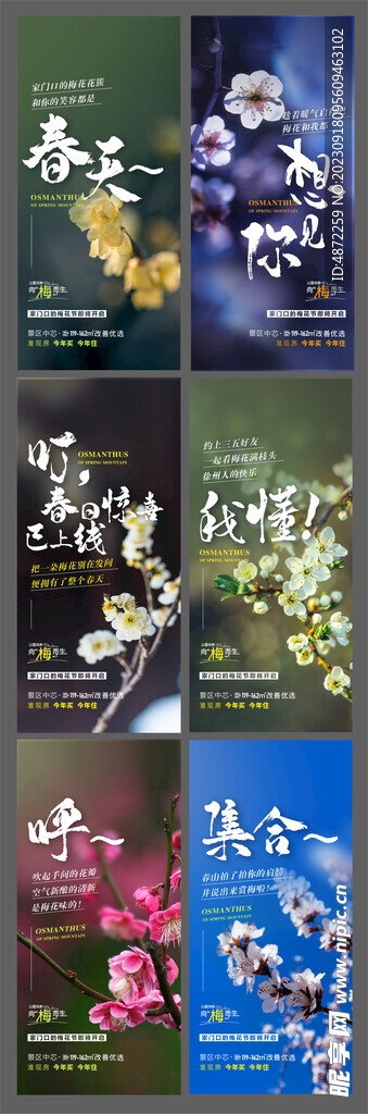 公园  卖点   配套  蓝城