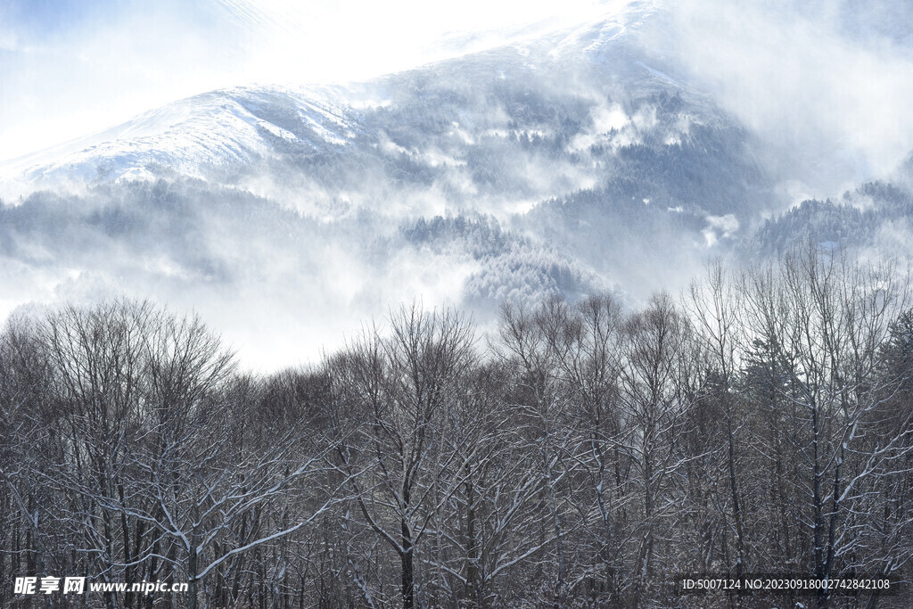 雪景