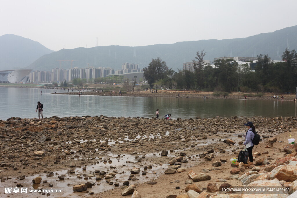 白沙湾公园 深圳坝光公园 郊区