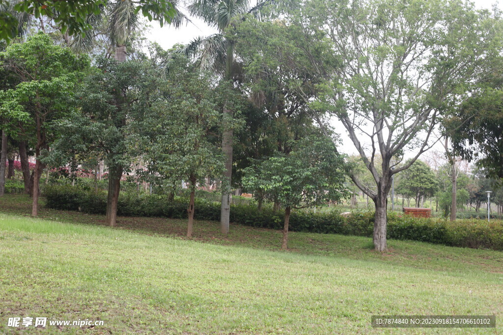 白沙湾公园 深圳坝光公园 郊区