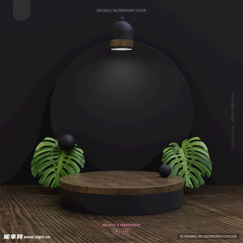 黑色龟背竹木台场景效果图