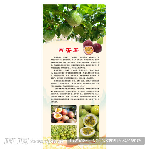 百香果展架 