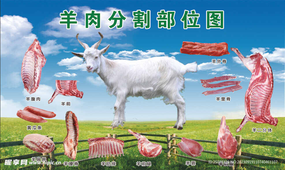 羊肉分割图